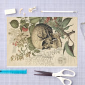 Schuif en bodem Victoriaans ontkoppeling Tissuepapier (Craft)