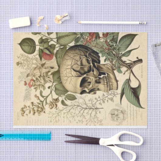 Schuif en bodem Victoriaans ontkoppeling Tissuepapier (Craft)