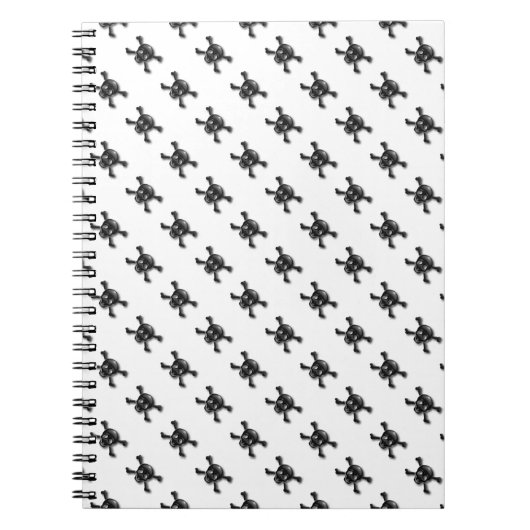 Schuif- en kruisbeenderen notitieboek (Voorkant)