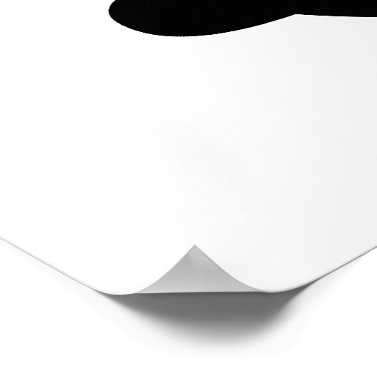 Schuif- en kruisbeenderen poster (Hoek)