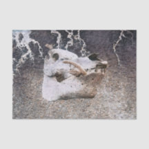 Schuif Grijs  Boerderij Schatting