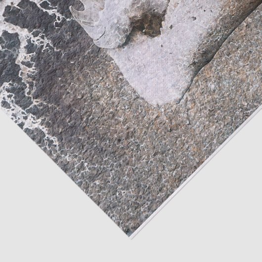 Schuif Grijs Boerderij Schatting Tissuepapier (Detail)