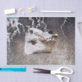 Schuif Grijs  Boerderij Schatting Tissuepapier (Craft)