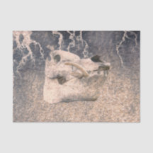 Schuif Grijze beige  textuur Ontvlechting