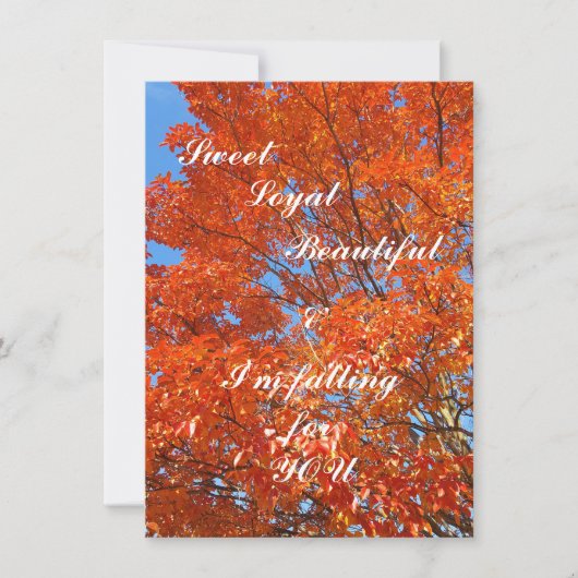 Schuif je schoten naar haar platte Wenskaart (Voorkant)