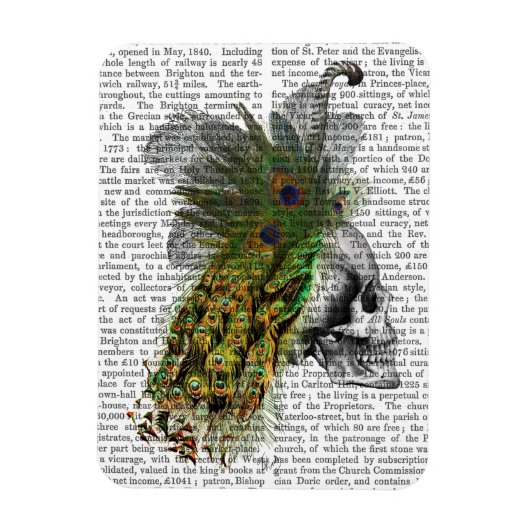 Schuif met kop magneet (Verticaal)