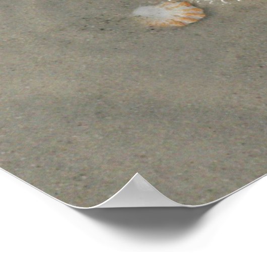 Schuif op het strand Poster (Hoek)