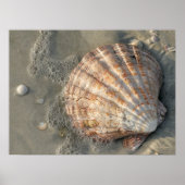 Schuif op het strand Poster (Voorkant)
