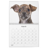 Schuif Puppies 2012 wandkalender Kalender (Mar 2027)