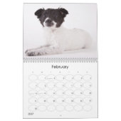 Schuif Puppies 2012 wandkalender Kalender (Feb 2027)