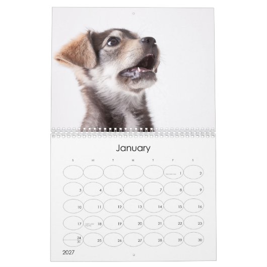 Schuif Puppies 2012 wandkalender Kalender (Jan 2027)