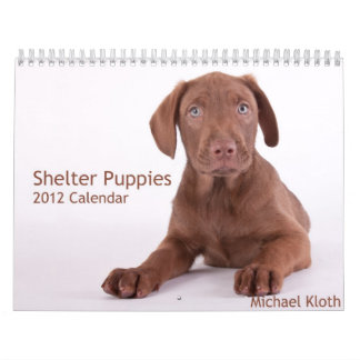 Schuif Puppies 2012 wandkalender Kalender