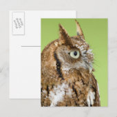 Schuif-uil portret briefkaart (Voorkant / Achterkant)