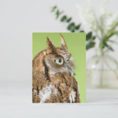 Schuif-uil portret briefkaart (Staand voorkant)