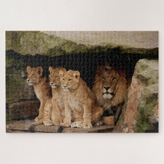 Schuif uit de regen legpuzzel (Horizontaal)
