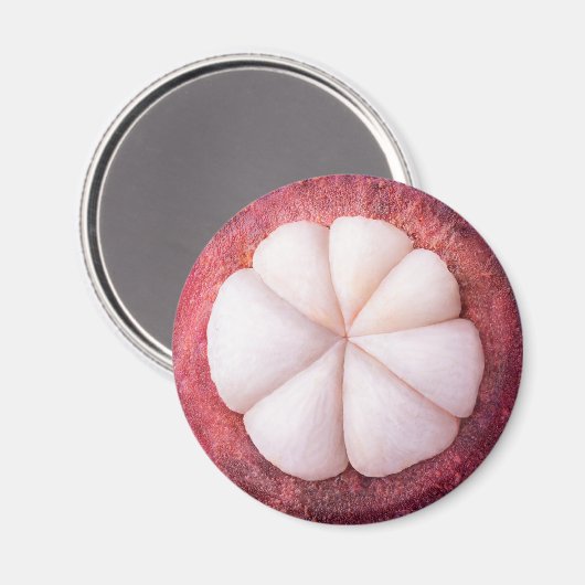 Schuif van mangosteen magneet (Voorkant / Achterkant)