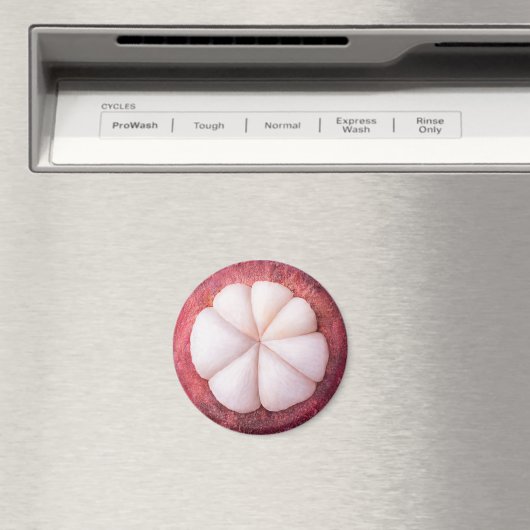 Schuif van mangosteen magneet (Insitu (Vaatwasser))