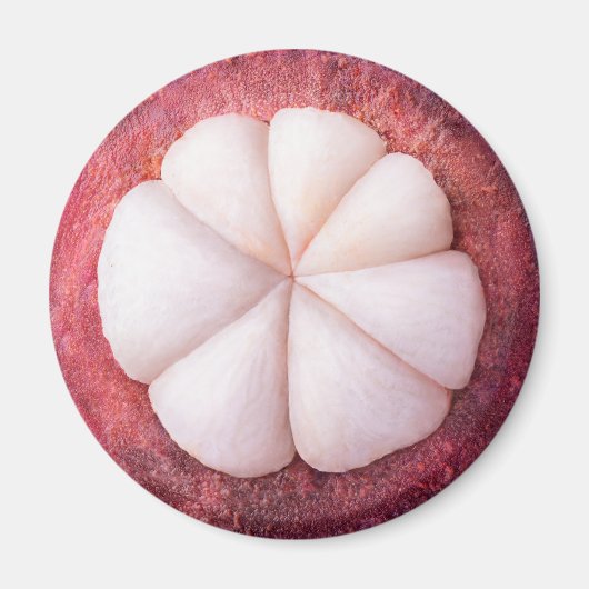 Schuif van mangosteen magneet (Voorkant)