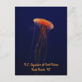 Schuifbaar verticaal Briefkaart zwemmen