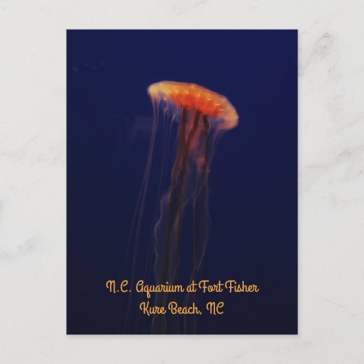 Schuifbaar verticaal Briefkaart zwemmen (Voorkant)