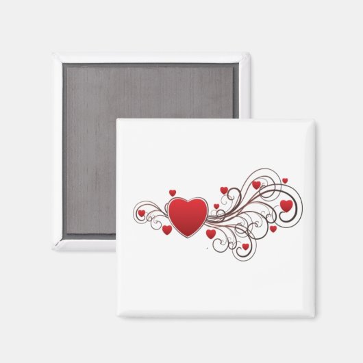 Schuifkop Magneet (Voorkant / Achterkant)