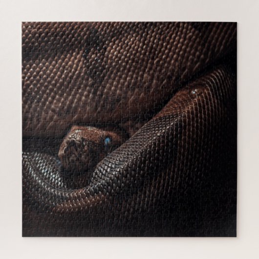 Schuilgezicht Puzzle Legpuzzel (Verticaal)