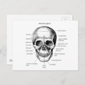 Schuilnisveld Briefkaart (Voorkant / Achterkant)