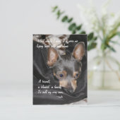 Schuilplaats Hond - Chihuahua Feestdagenkaart (Staand voorkant)