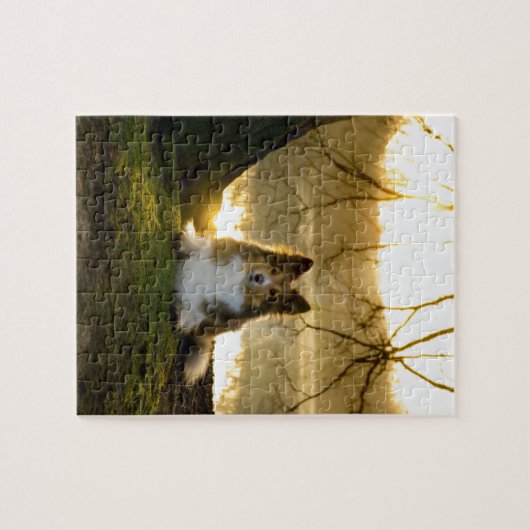 schuilplaats legpuzzel (Horizontaal)