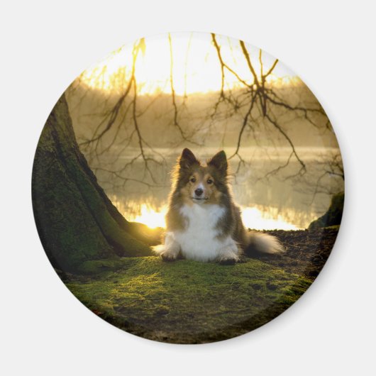 schuilplaats magneet (Voorkant)