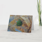 Schuilplaats van het Wenskaart van het Storm seizo Feestdagen Kaart (Voorkant)