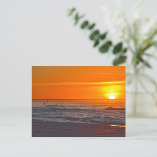 Schuimers die vliegen op zonsopgang, strand van Fl Briefkaart (Staand voorkant)