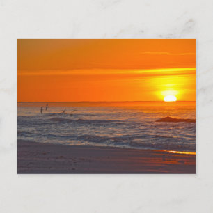 Schuimers die vliegen op zonsopgang, strand van Fl Briefkaart