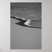 Schuimkus Poster (Voorkant)