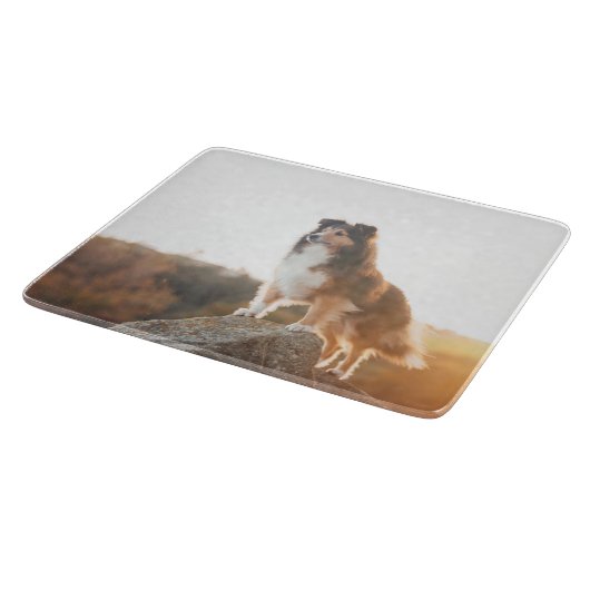 Schuine beschermlaag tegen licht tijdens zonsonder snijplank (Hoek)