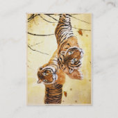 Schuine tijgerstaarster voor wolkblauw visitekaartje (Achterkant)