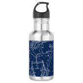 Schuine zodiale tekening waterfles  (Voorkant)