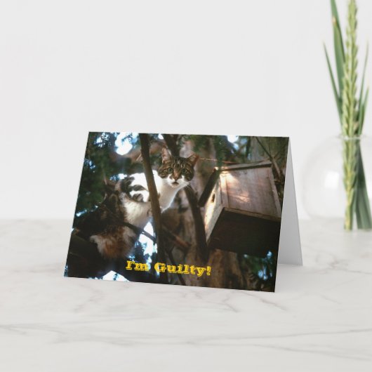 Schuldig! Kaart (Voorkant)
