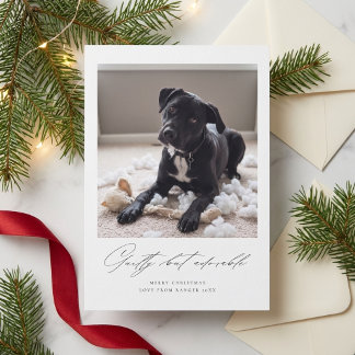 Schuldig Maar Schattig | Grappige Hond Foto Kerstm Feestdagenkaart