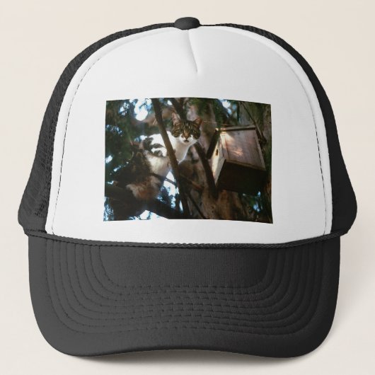 Schuldig! Trucker Pet (Voorkant)