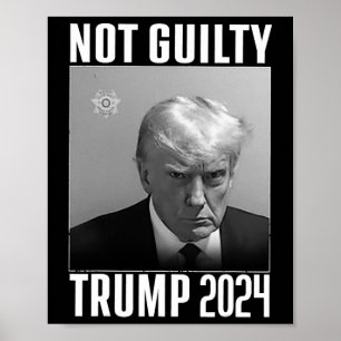 Schuldig Trump 2024 Niet opnieuw stemmen 2024 Anti Poster