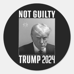 Schuldig Trump 2024 Niet opnieuw stemmen 2024 Anti Ronde Sticker