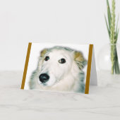 schuldige hond kaart (Voorkant)