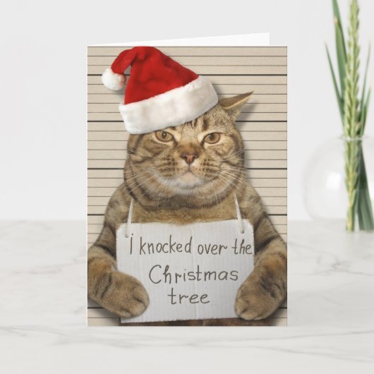 Schuldige kat in kerstmuts kerstkaart kaart (Voorkant)