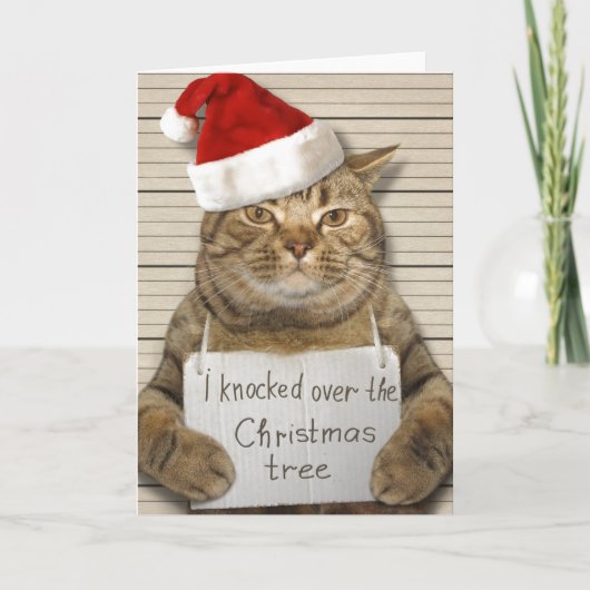 Schuldige kat in kerstmuts kerstkaart kaart (Voorkant)