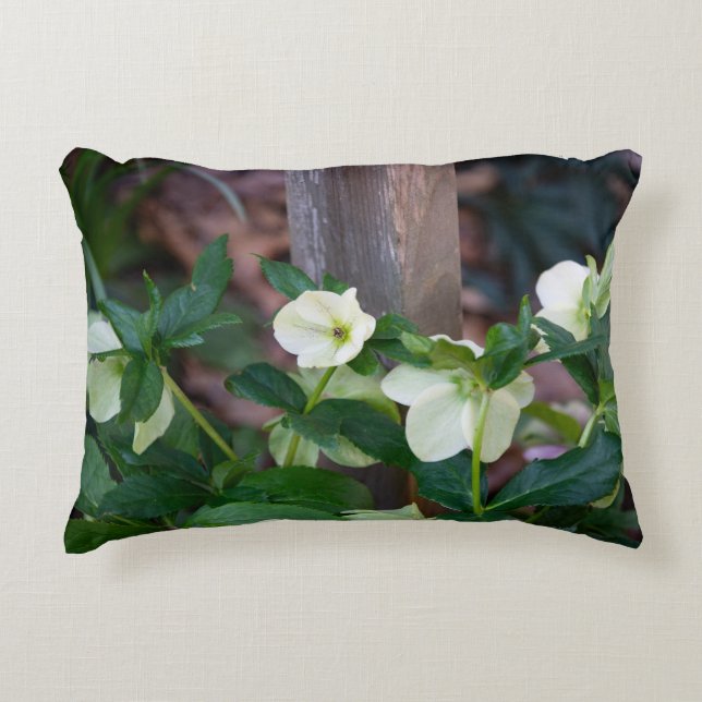 Schutting met Witte Bloemen Accent Kussen (Voorkant)