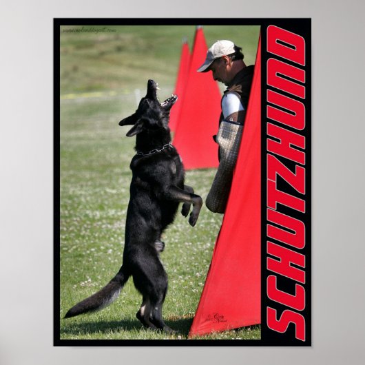 Schutzhund German Shepherd Dog Poster (Voorkant)