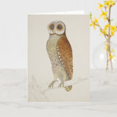 Schuur barred uil rustieke natuur illustratie kaart (Gele Bloem)