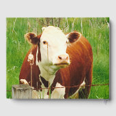 Schuur Bruiloft Koe Paar (Namen) Gastenboek (Achterkant)