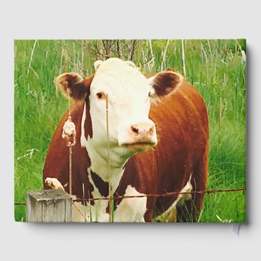 Schuur Bruiloft Koe Paar (Namen) Gastenboek (Achterkant)